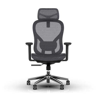 Wholesale Price Ergonomic Office Chair Mesh Comfortable Office Chair With 2D Adjustable Headrest